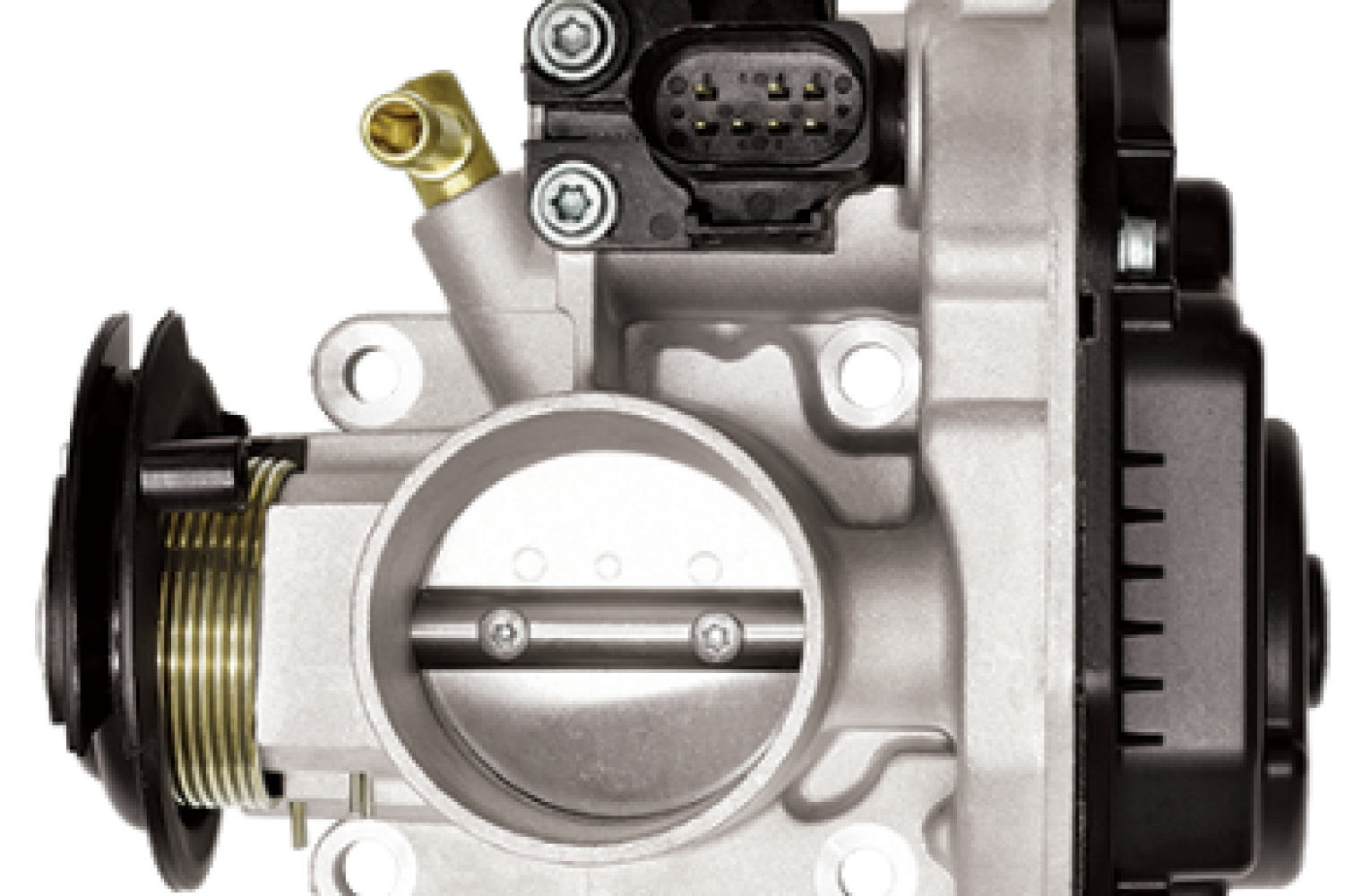 Everything you ought to know about throttle bodies - Garagewire