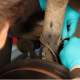 Video: Fitting front and rear shock absorbers on BMW 3 Series