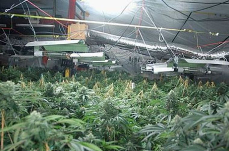 £2.5m cannabis factory found inside MOT test centre
