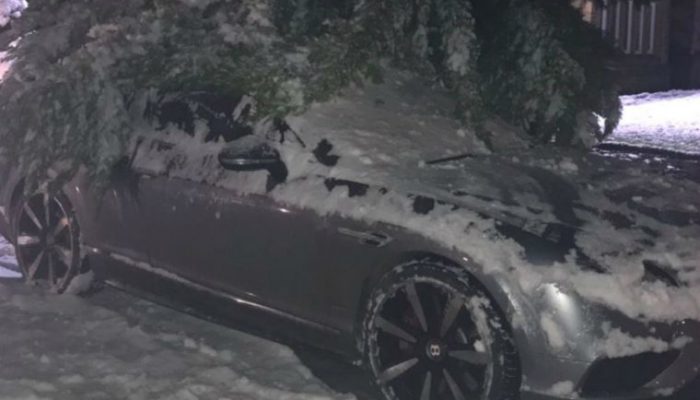 Parking blunder as Michael Owen returns to his Bentley buried beneath snow-covered tree