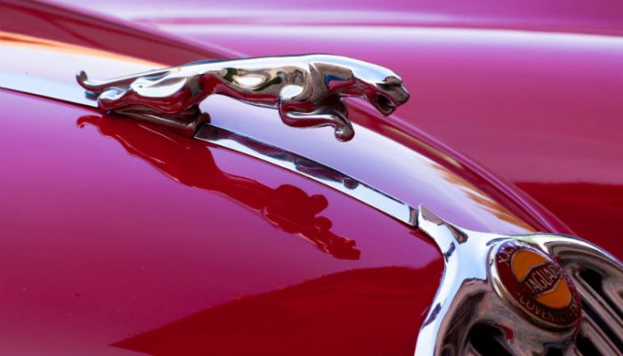 Classic Car Lab to star in TV series