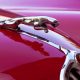 Classic Car Lab to star in TV series