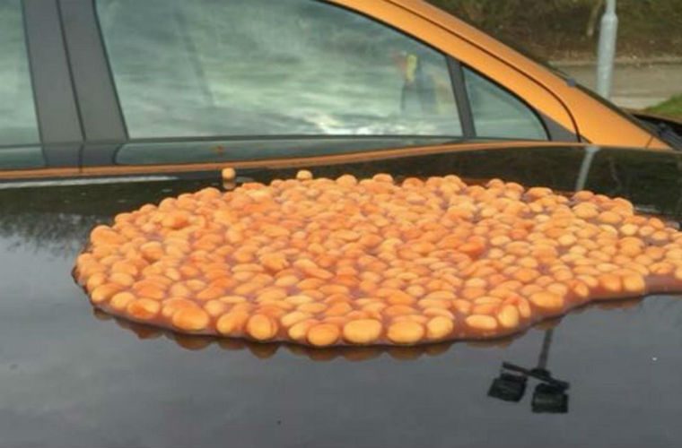 Driver’s car that “blocked gates” is attacked with baked beans
