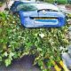 “Absolute madness” as driver stuffs car with branches