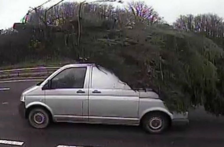 Van caught hauling massive Christmas tree on Somerset road