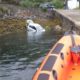 Handbrake failure sees car plunge into sea
