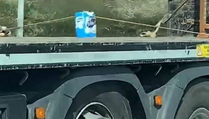 Watch: Lorry driver spotted with prized toilet roll load