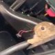 Rabbit pulled from behind dashboard after customer reported ‘funny noise’