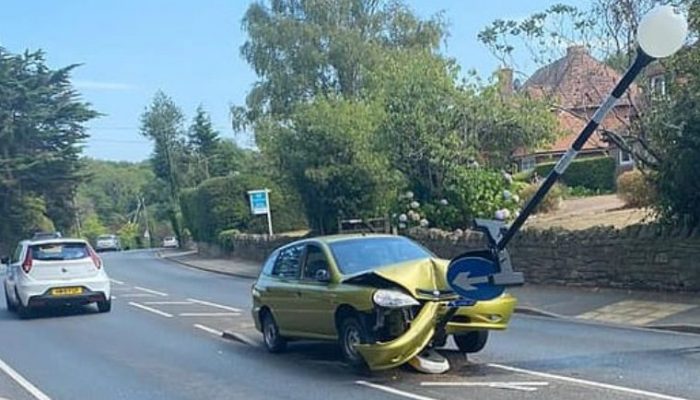 Driver crashes into signpost after spotting spider inside car