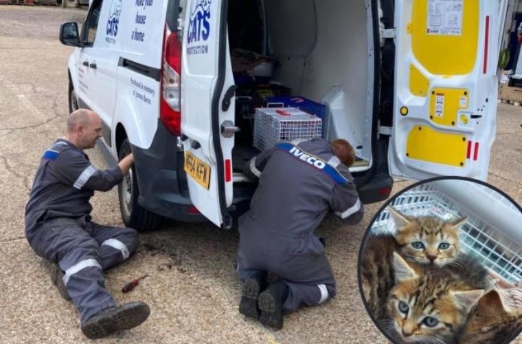 Mechanics called on to help rescue kitten from Cats Protection van