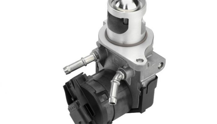 Over 80 new BorgWarner EGR valves launched in 2021