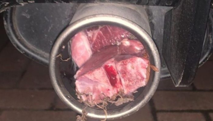 Lamb chops stuffed in exhaust in bizarre meat attack