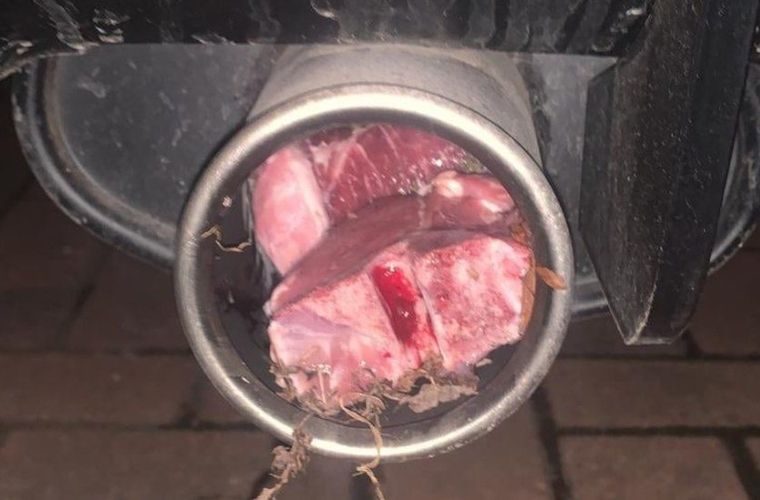 Lamb chops stuffed in exhaust in bizarre meat attack