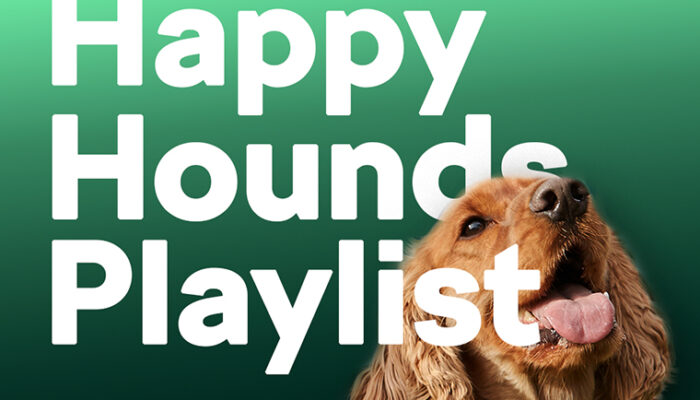 Happy Hounds Playlist