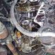 Ford EcoBoost wet belt woes