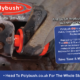 Fit the Polybush 47B rear axle bush to prevent Astra headaches