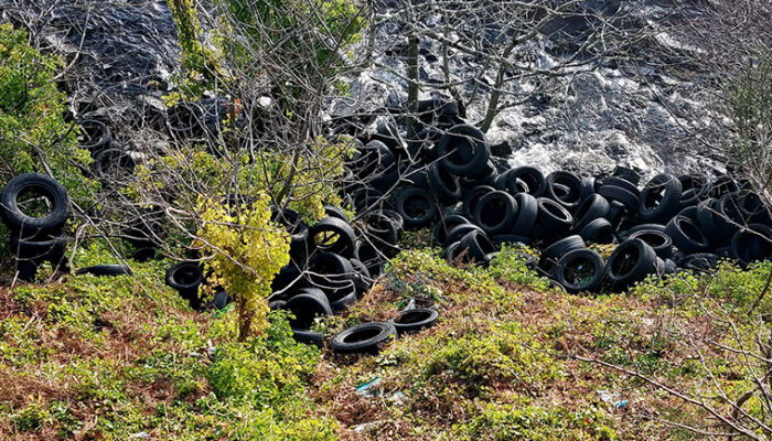 Hundreds of tyres dumped on the shore of Loch Ness