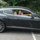 Thief who posted photos of himself in stolen cars is jailed