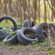 Southampton man fined for fly-tipping tyre in Romsey