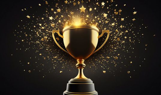 Showcase your star qualities with a Motor Ombudsman Award  